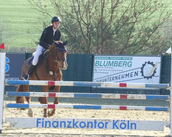 Reitturnier Lindlar-Süttenbach 2023