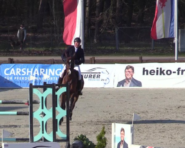 Reitturnier Westergellersen 2023