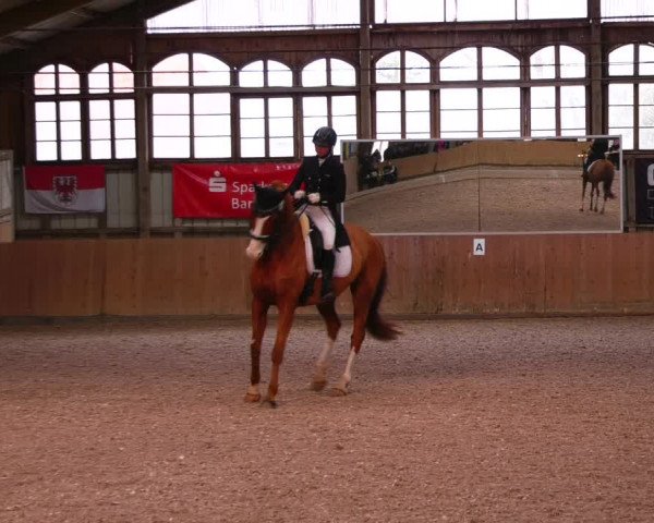 Reitturnier Elisenau 2023