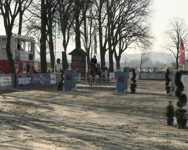 Reitturnier Werne-Lenklar 2023