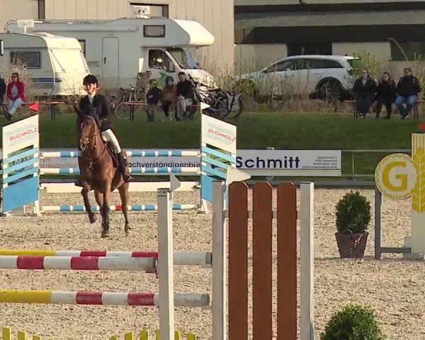 Reitturnier Grafenrheinfeld/Ufr. 2023