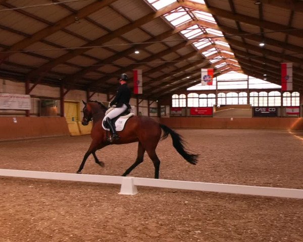Reitturnier Elisenau 2023