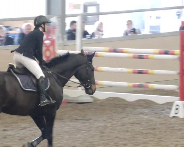 Reitturnier Waghäusel-Wiesental 2023