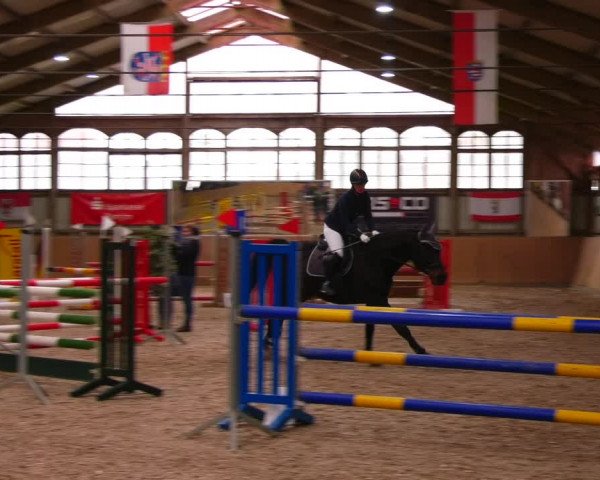 Reitturnier Elisenau 2023