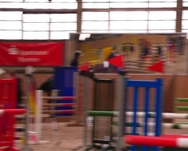 Reitturnier Elisenau 2023