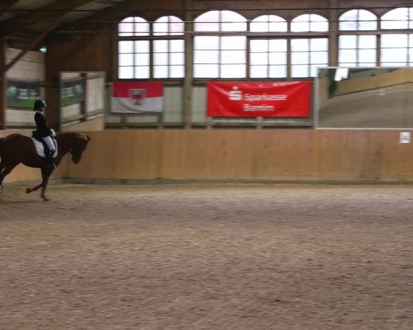Reitturnier Elisenau 2023