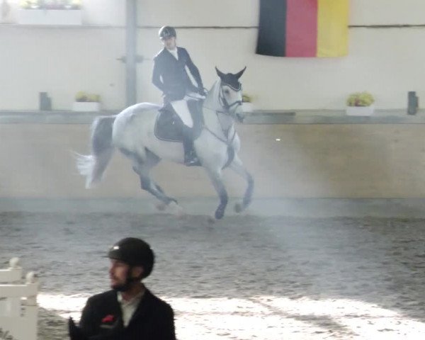 Reitturnier Waghäusel-Wiesental 2023