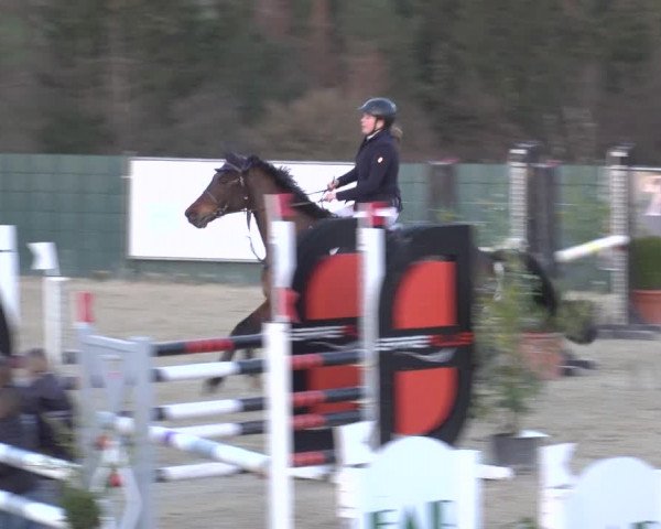 Reitturnier Lindlar-Süttenbach 2023