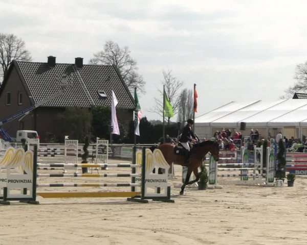 Reitturnier Werne-Lenklar 2023