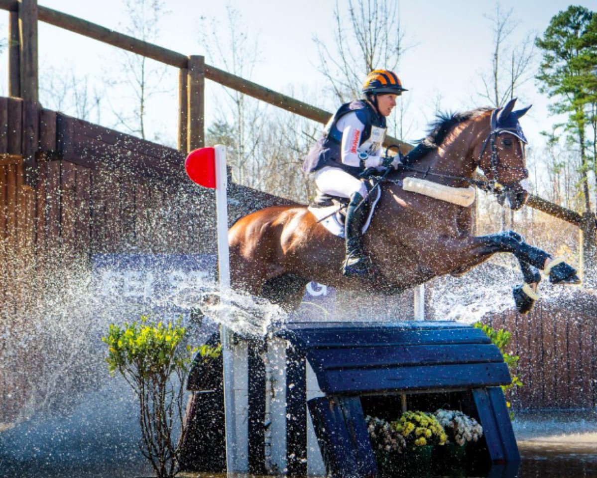 Pferd Deniro Z (KWPN (Niederländisches Warmblut), 2008, von Zapatero VDL)