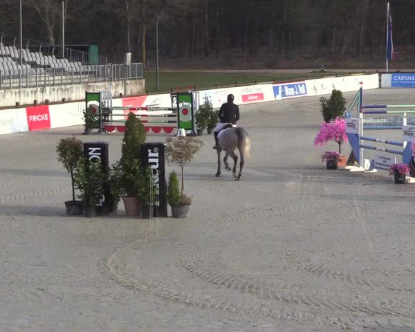 Reitturnier Westergellersen 2023