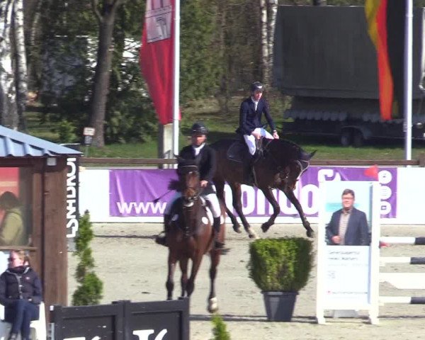 Reitturnier Westergellersen 2023