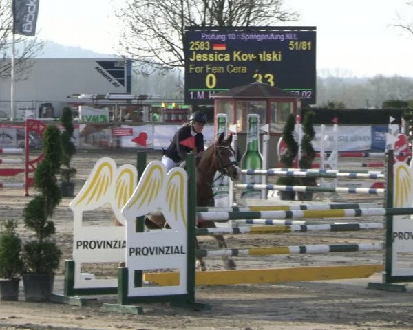 Reitturnier Werne-Lenklar 2023