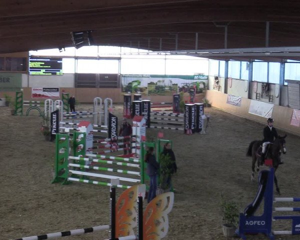Reitturnier Borgholzhausen-Westbarthausen 2021
