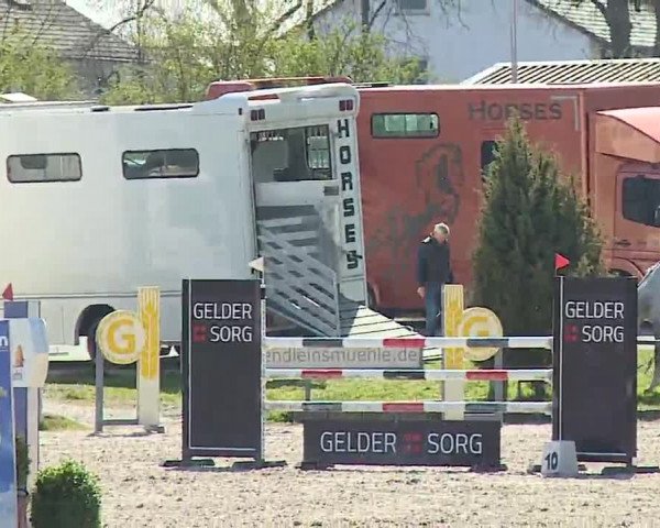 Reitturnier Grafenrheinfeld/Ufr. 2023