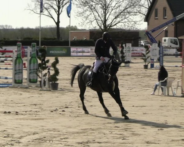 Reitturnier Werne-Lenklar 2023