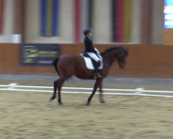 Reitturnier Weikersdorf 2023