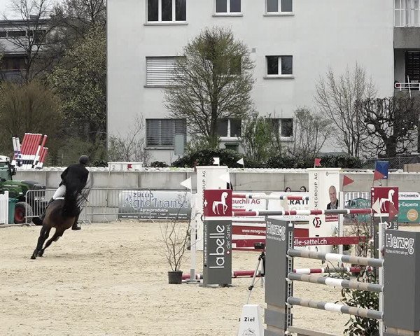 Reitturnier Amriswil 2023