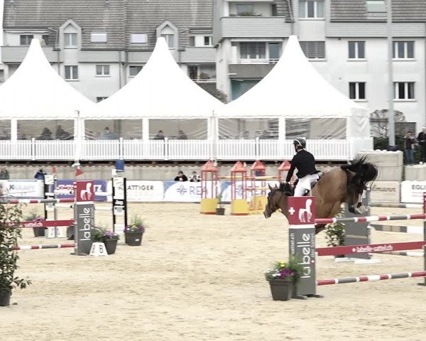 Reitturnier Amriswil 2023