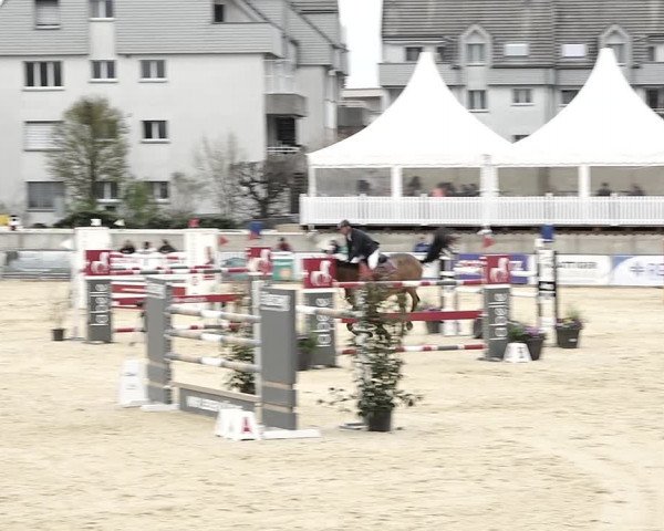 Reitturnier Amriswil 2023