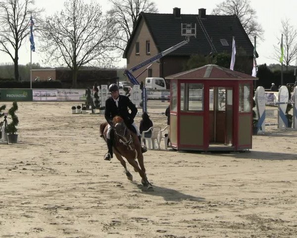Reitturnier Werne-Lenklar 2023