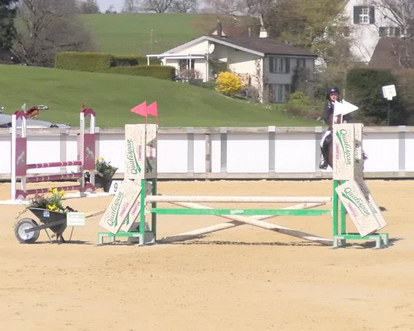 Reitturnier Wädenswil 2023