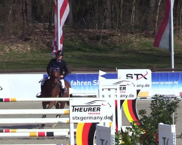 Reitturnier Westergellersen 2023