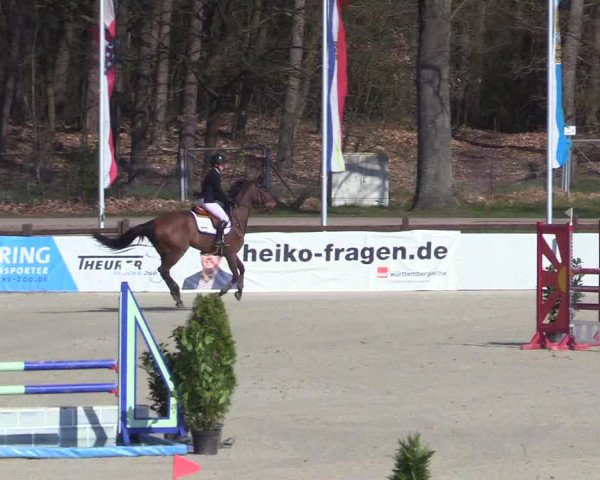 Reitturnier Westergellersen 2023