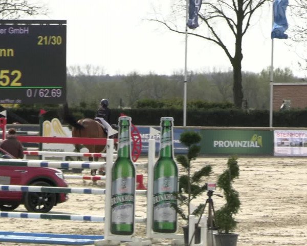 Reitturnier Werne-Lenklar 2023