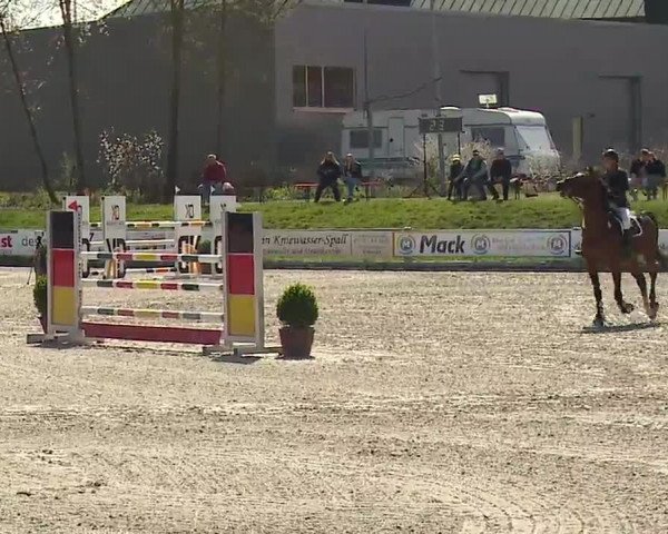 Reitturnier Grafenrheinfeld/Ufr. 2023