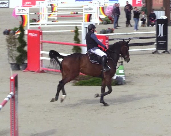 Reitturnier Westergellersen 2023