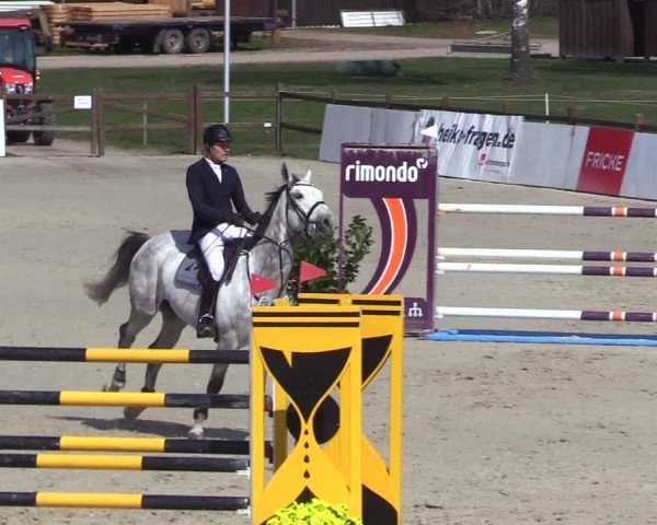 Reitturnier Westergellersen 2023