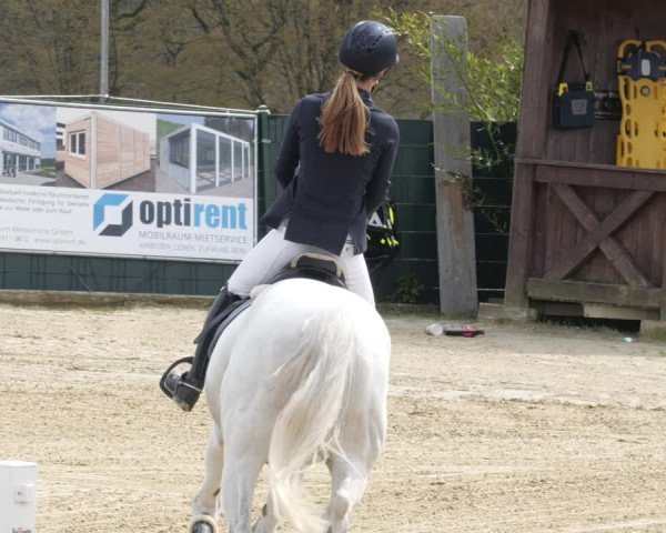 Reitturnier Lindlar-Süttenbach 2023
