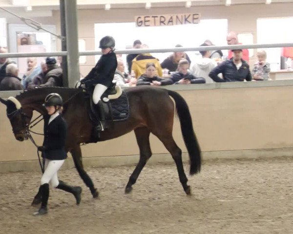 Reitturnier Waghäusel-Wiesental 2023