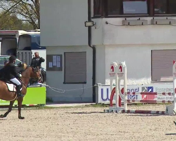 Reitturnier Grafenrheinfeld/Ufr. 2023
