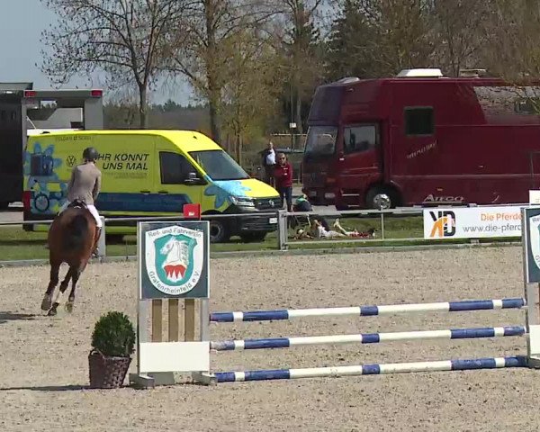 Reitturnier Grafenrheinfeld/Ufr. 2023
