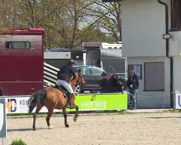Reitturnier Grafenrheinfeld/Ufr. 2023