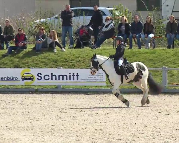 Reitturnier Grafenrheinfeld/Ufr. 2023