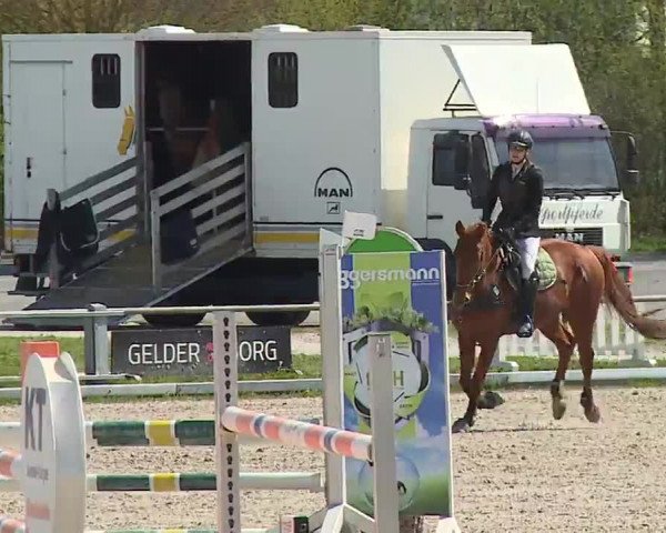 Reitturnier Grafenrheinfeld/Ufr. 2023