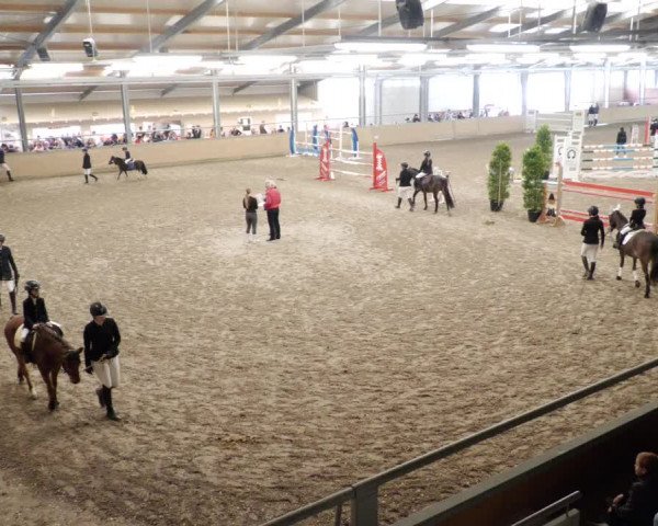 Reitturnier Waghäusel-Wiesental 2023