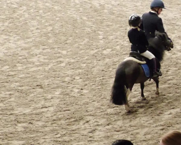 Reitturnier Waghäusel-Wiesental 2023