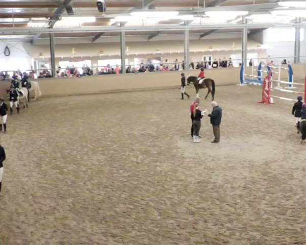 Reitturnier Waghäusel-Wiesental 2023