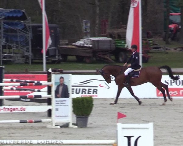 Reitturnier Westergellersen 2023