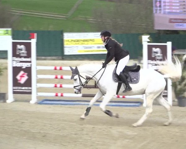 Reitturnier Lindlar-Süttenbach 2023