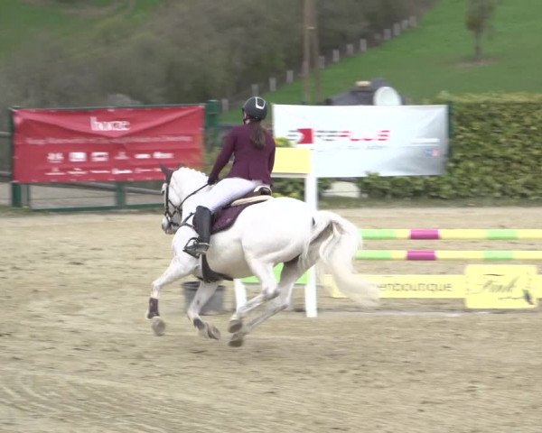 Reitturnier Lindlar-Süttenbach 2023