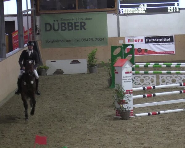 Reitturnier Borgholzhausen-Westbarthausen 2021