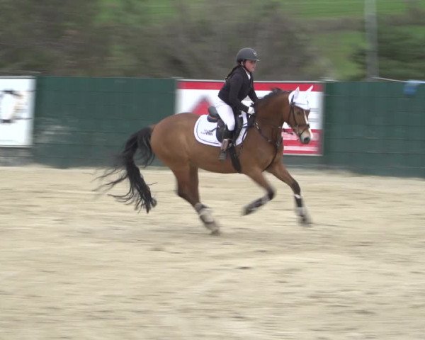 Reitturnier Lindlar-Süttenbach 2023