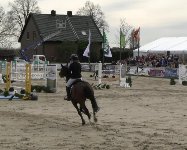 Reitturnier Werne-Lenklar 2023