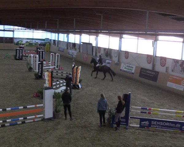 Reitturnier Borgholzhausen-Westbarthausen 2021