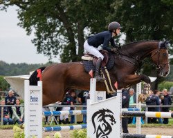 jumper Columbo 58 (German Sport Horse, 2013, from Chacco Me Biolley)